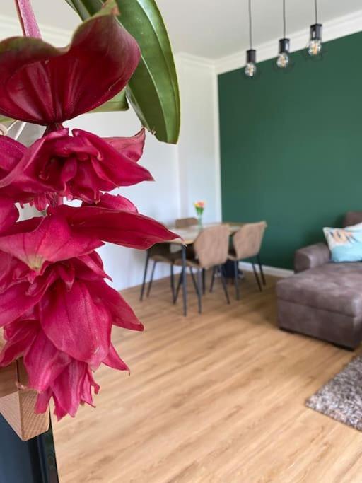 2-Zimmer Zentral In Ferdinandshof, Wlan Modern 외부 사진