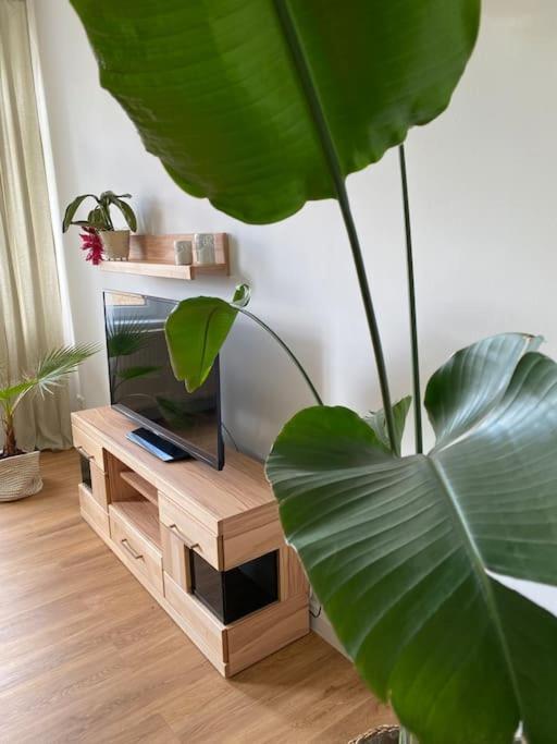 2-Zimmer Zentral In Ferdinandshof, Wlan Modern 외부 사진