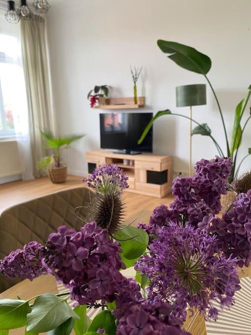 2-Zimmer Zentral In Ferdinandshof, Wlan Modern 외부 사진
